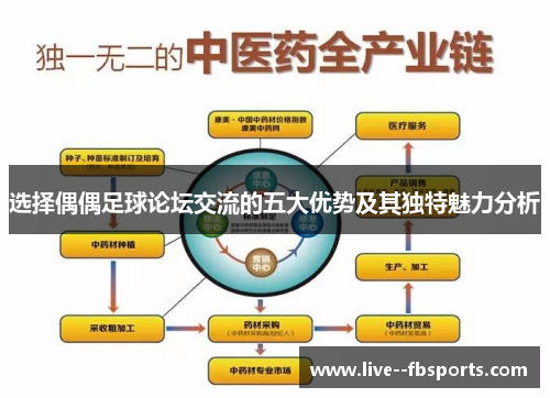 选择偶偶足球论坛交流的五大优势及其独特魅力分析